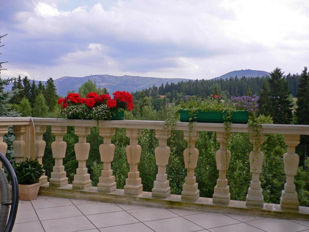 Hotel Villa Romantica シクラルスカ・ポレンバ エクステリア 写真